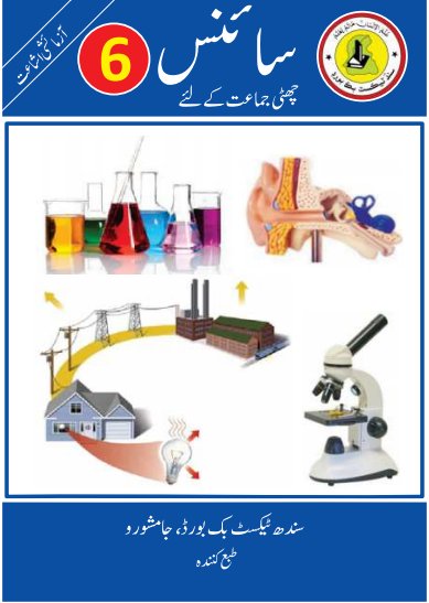 Class 6 Science — Solved Exercises (Sindhi Medium) — official book cover