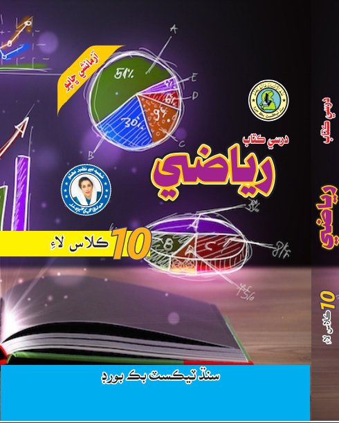 Class 10 Math — Solved Exercises (Sindhi Medium) — official book cover